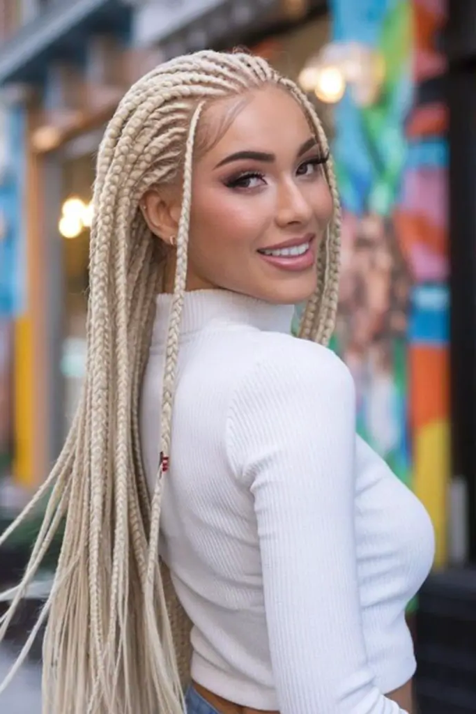 29 Gorgeous Micro Braids Hairstyles 3 1. Royal Cascade Micro Braids