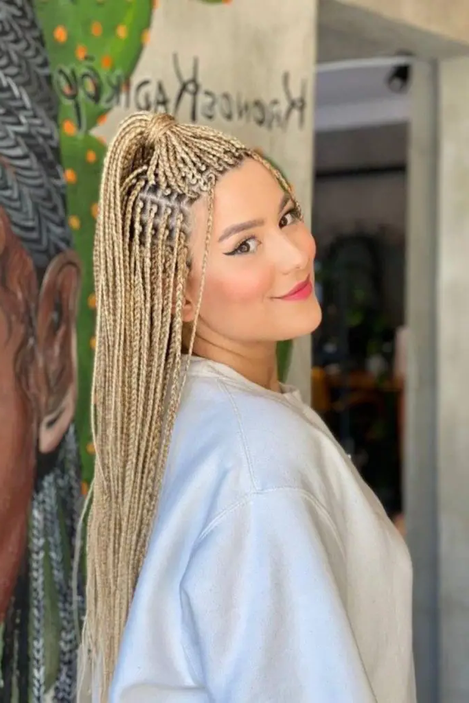 29 Gorgeous Micro Braids Hairstyles 25 23. Basket-Weave Micro Braids