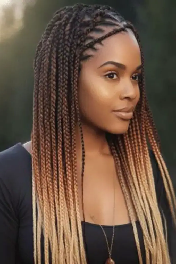 29. Ombre Braids Obsession