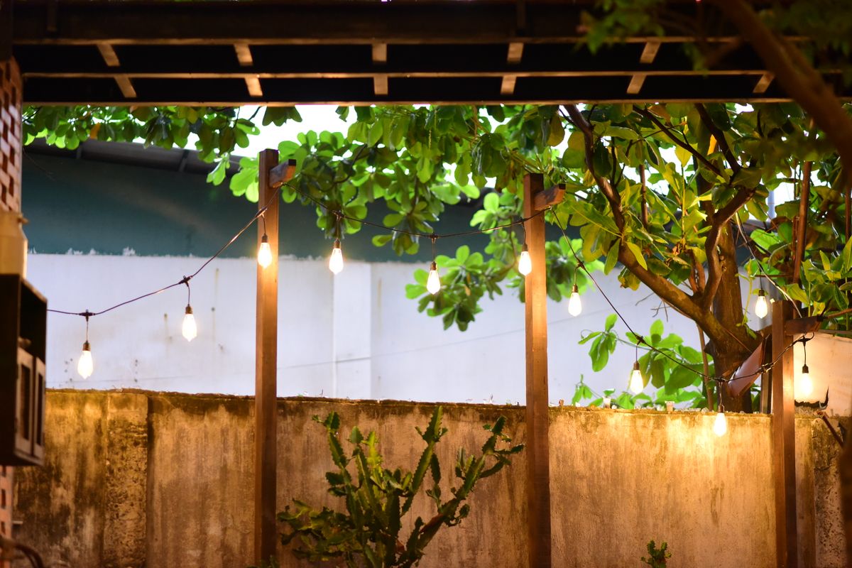 Warm string lights illuminating a backyard with lush foliage