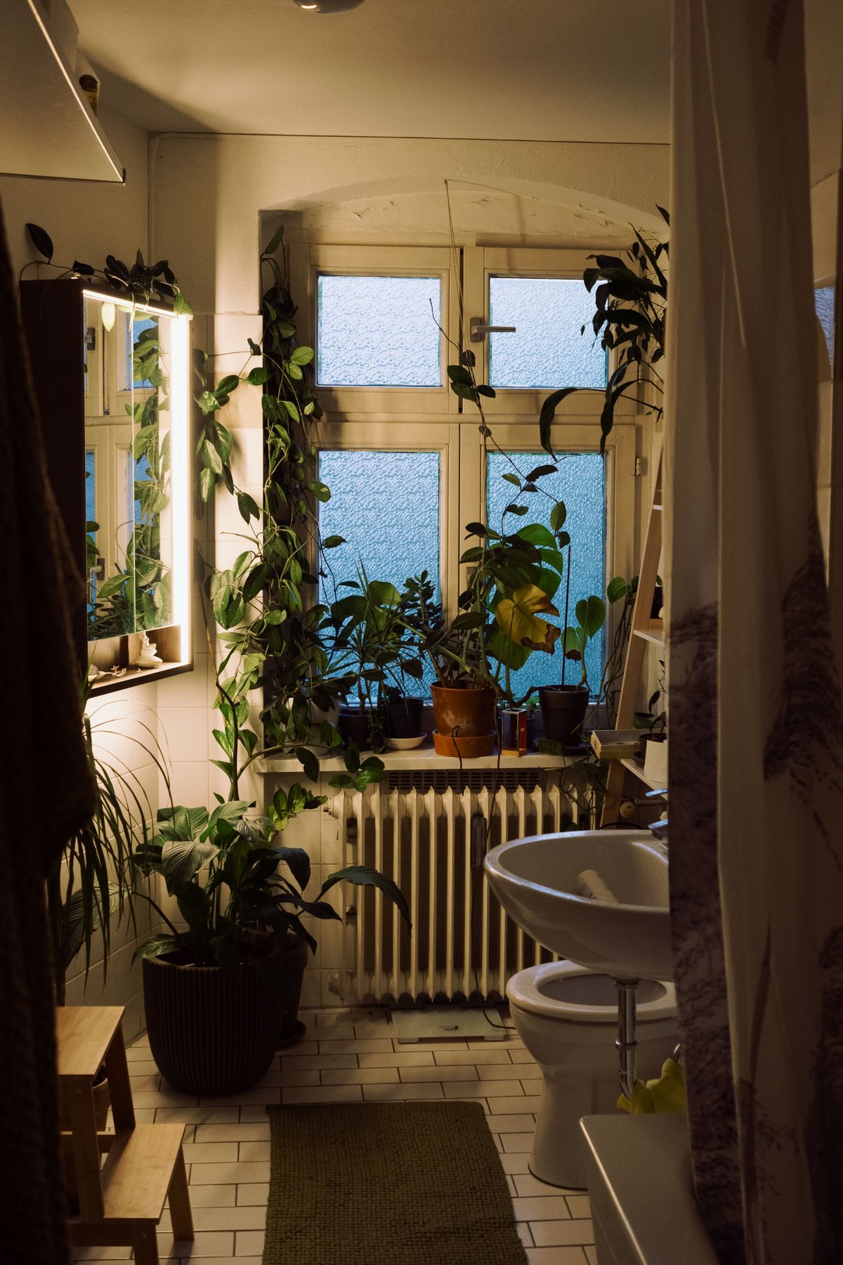 Luxury Bathroom Home Decor Ideas for a Spa-Like Experience 8 Cozy bathroom adorned with lush green plants and natural light