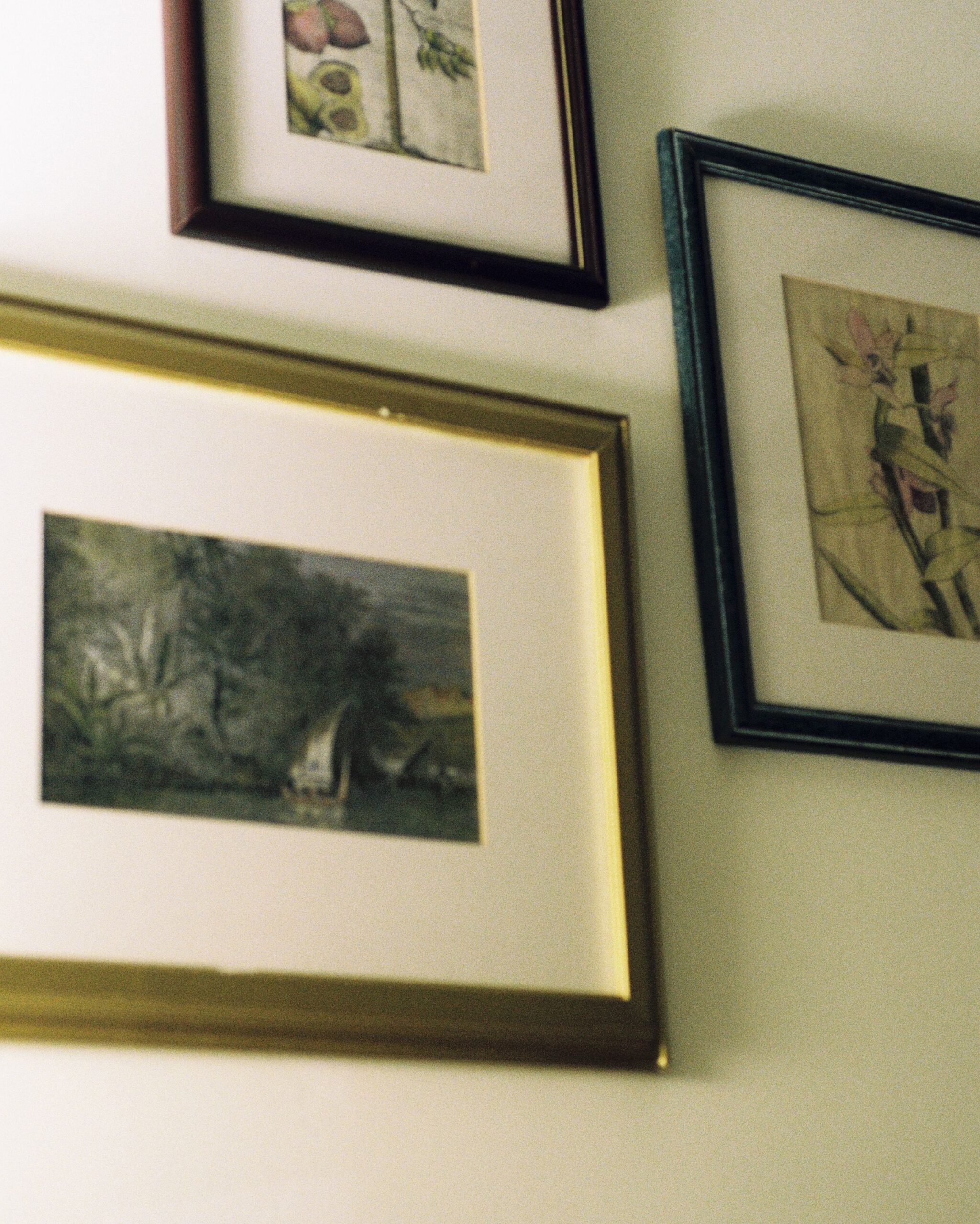 Multiple frames hanging together on a wall