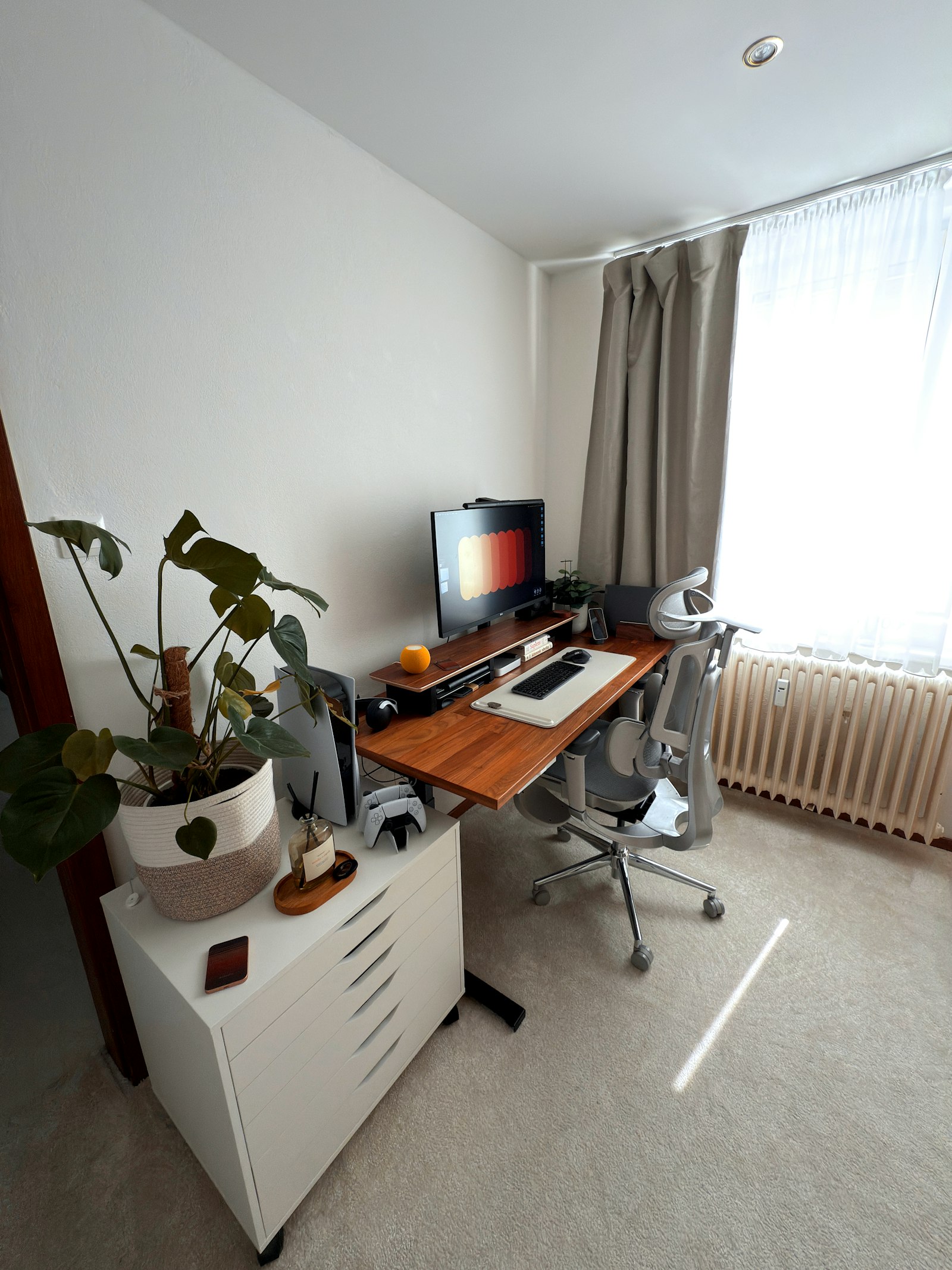 Home office setup with wooden desk, monitor, ergonomic chair, and plant near a bright window