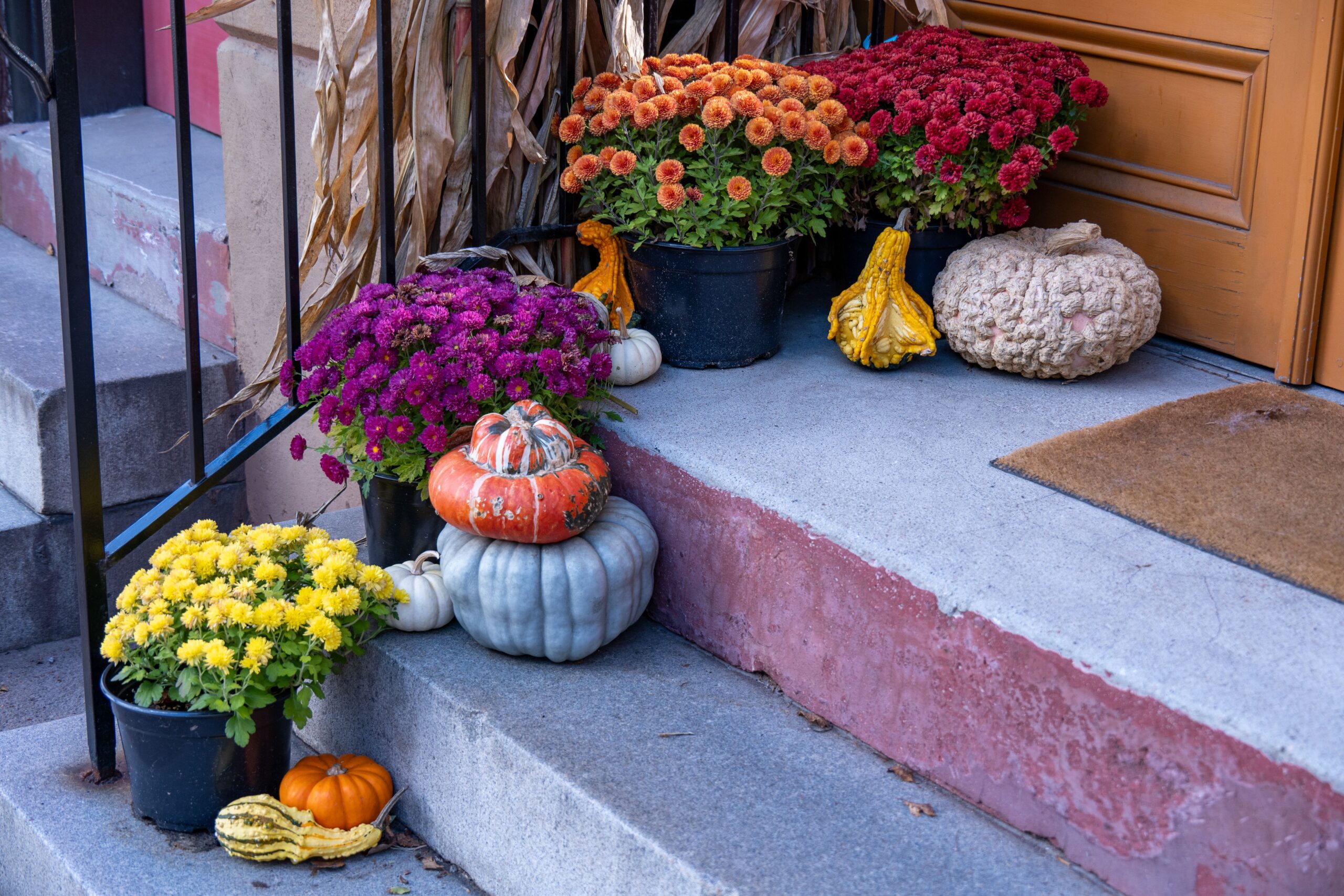 Layered pumpkins and mums arranged on porch steps, photo by Beth Fitzpatrick via Pexels