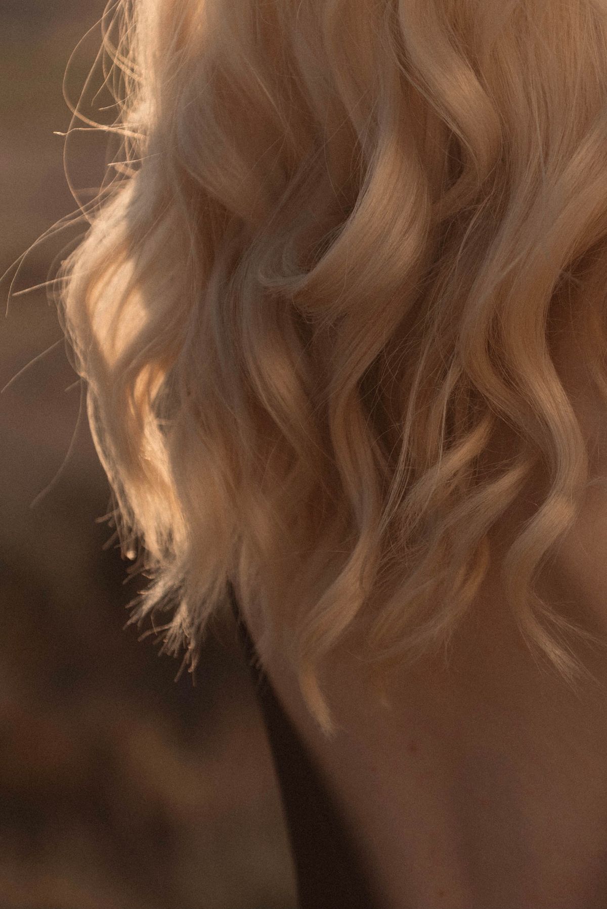 Close-up of wavy strawberry blonde hair shining in sunlight