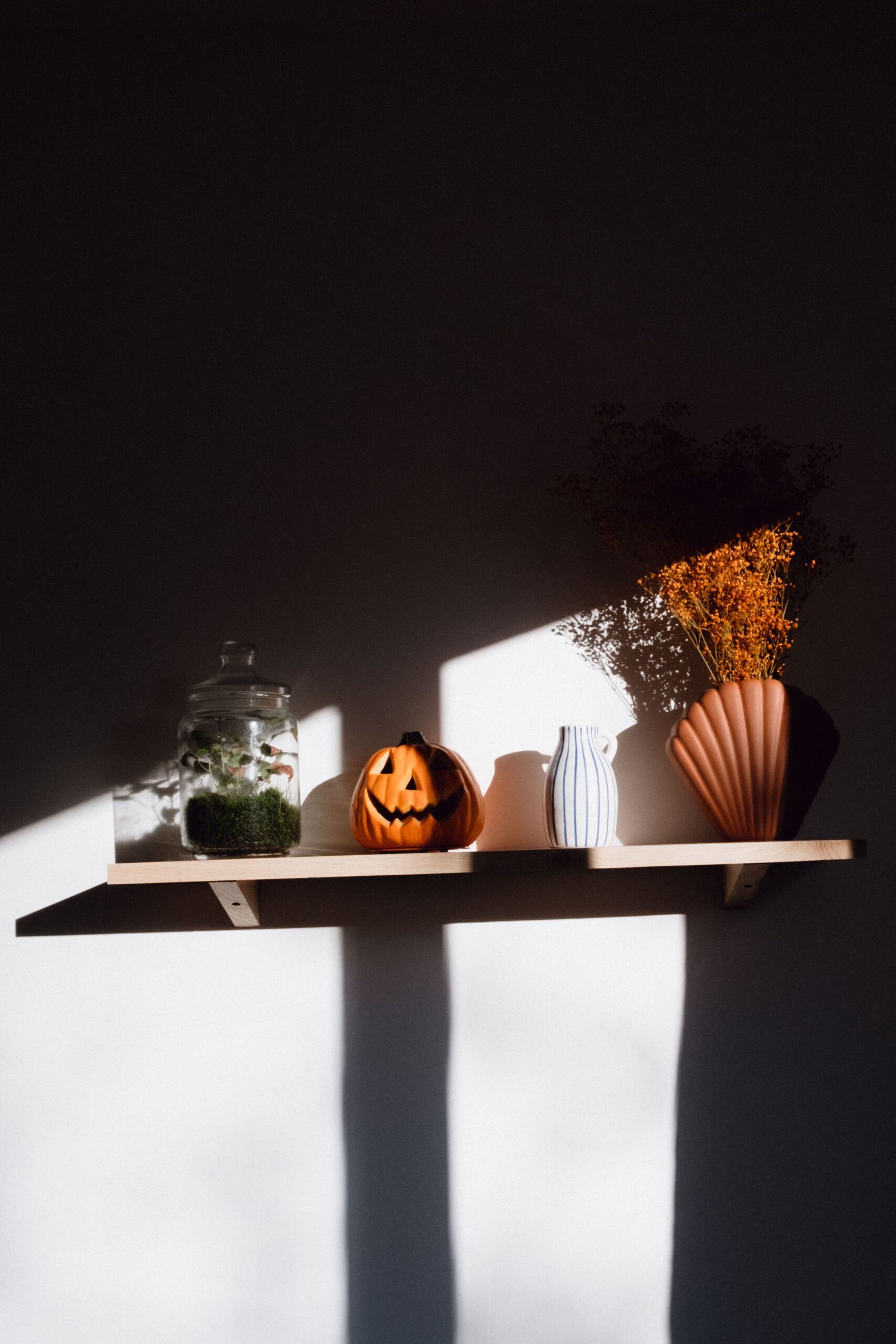 Sunlit shelf styled with a halloween pumpkin, dried florals, and ceramic vases, photo by Camille Lemiale via Pexels