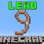 Minecraft Lead
